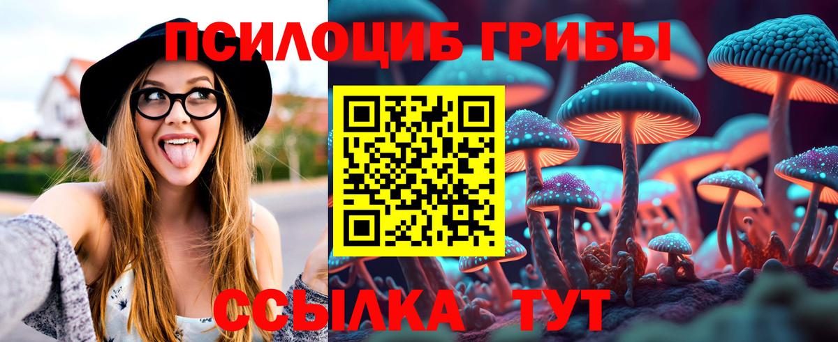 Псилоцибиновые грибы мицелий  Вход с VPN  Псилоцибиновые грибы Magic Shrooms  Топки 